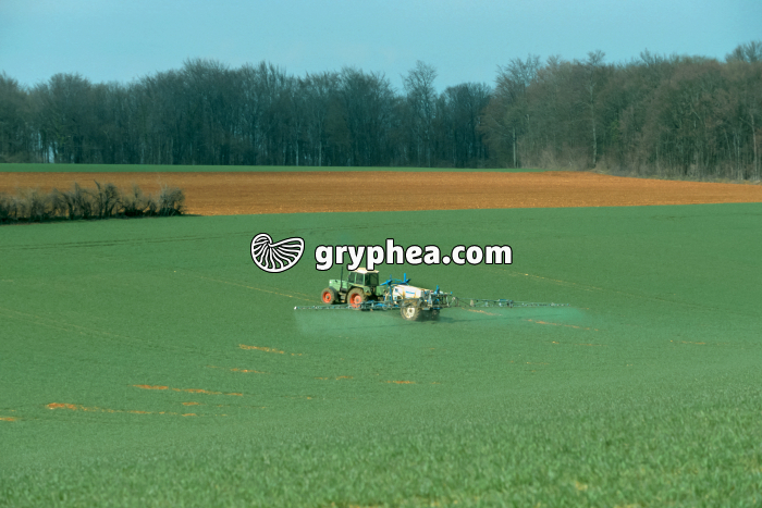 Ependage chimique - gryphea.com